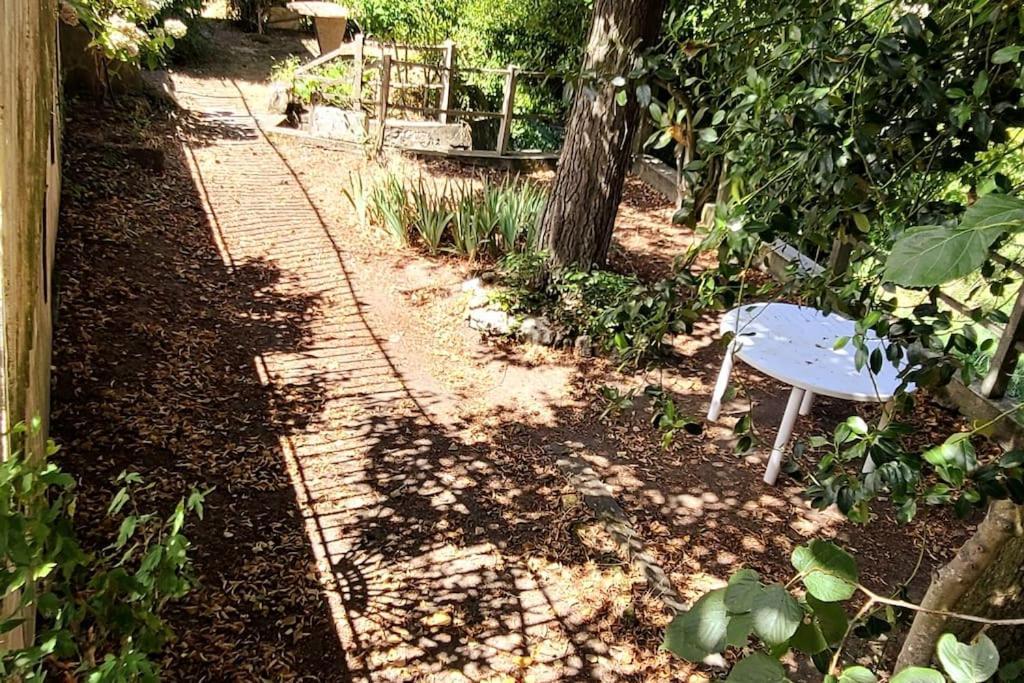 סומור Le Bois Flotte - Maison Au Coeur De La Loire Entre Ville Et Nature מראה חיצוני תמונה